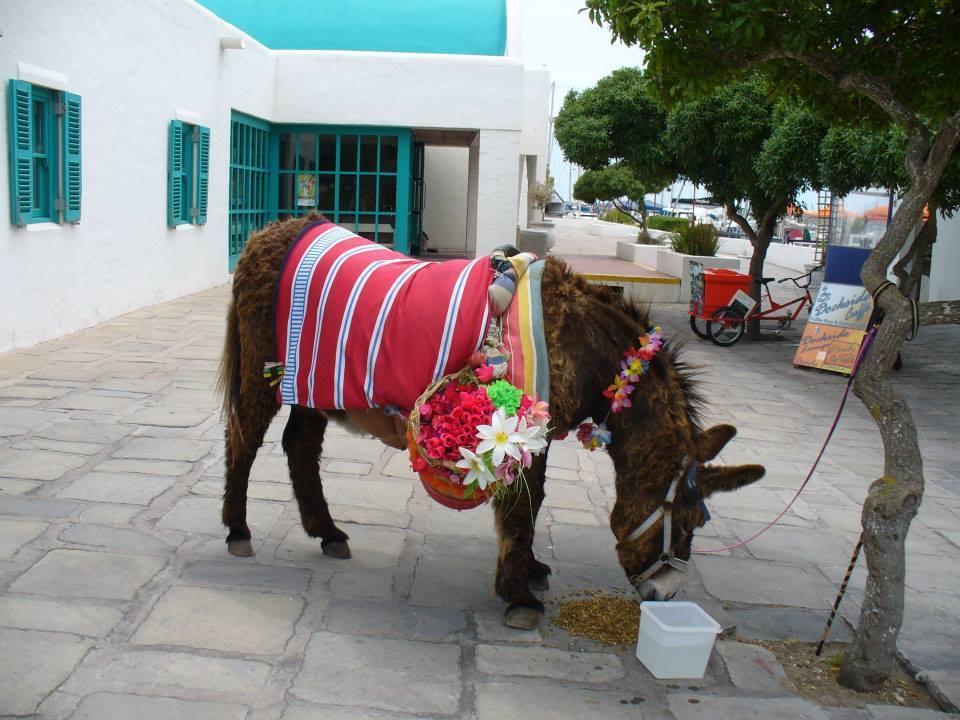 Mykonos Holidays @ Club Mykonos 랑게바안 외부 사진